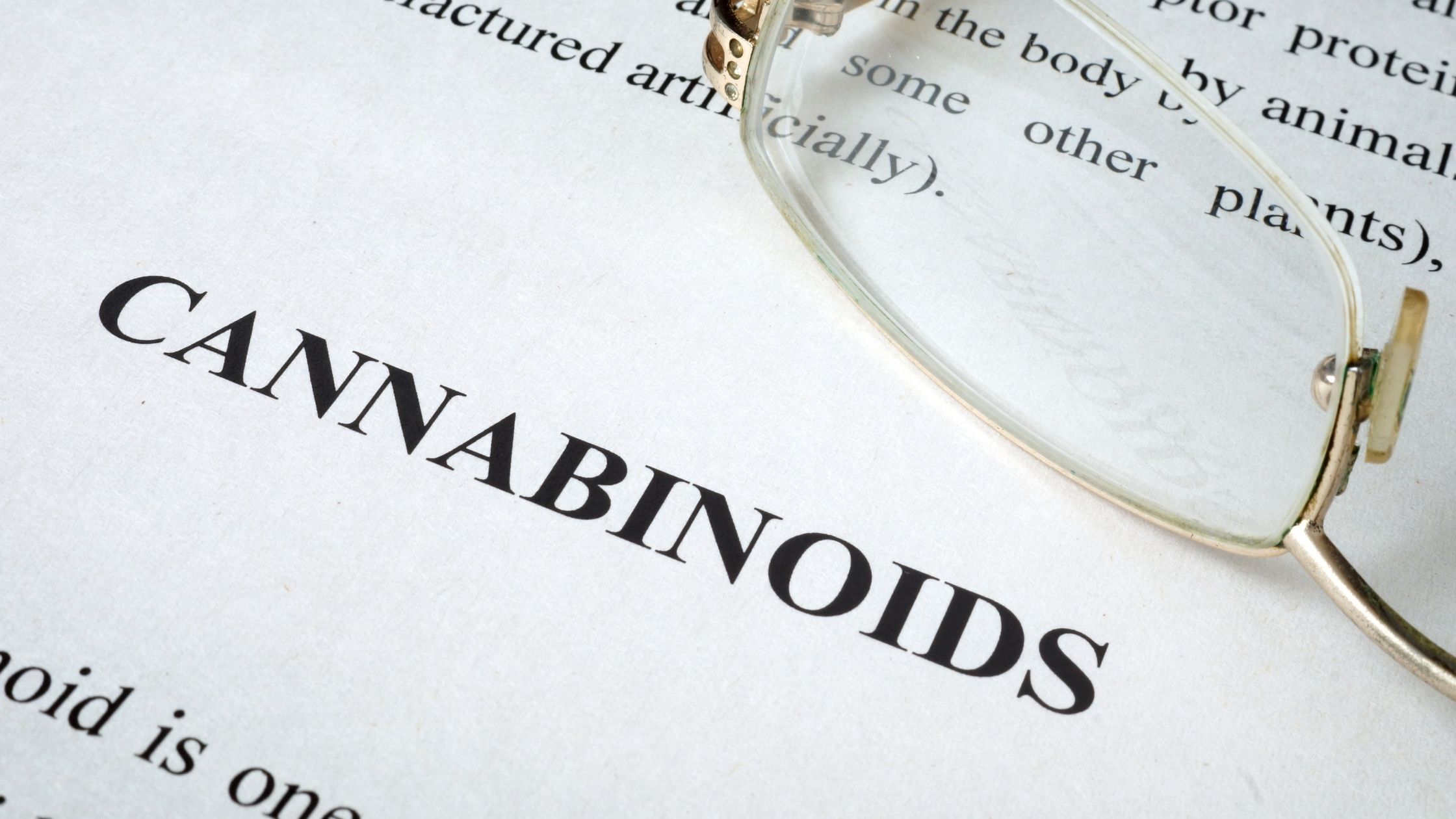 understanding different cannabinoids